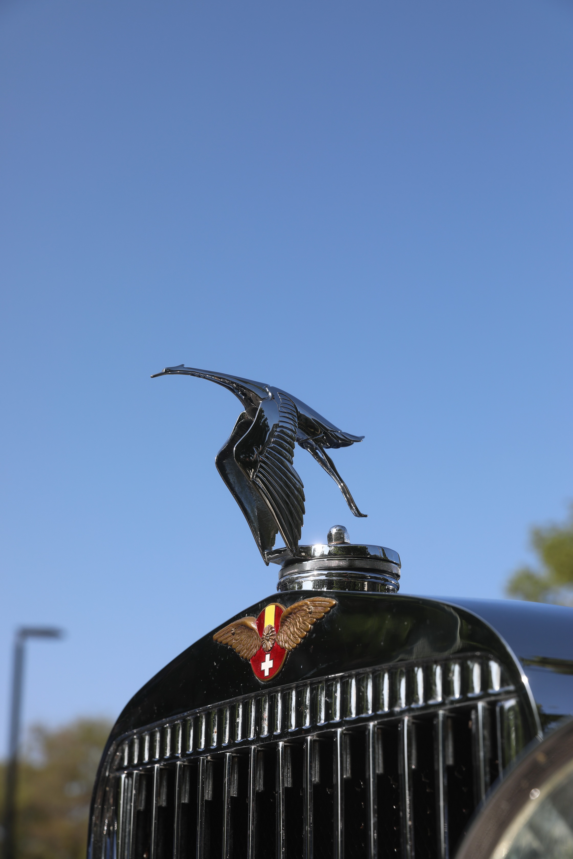 2020 01 26 09 08 48 Canon EOS 5D Mark IV 0014